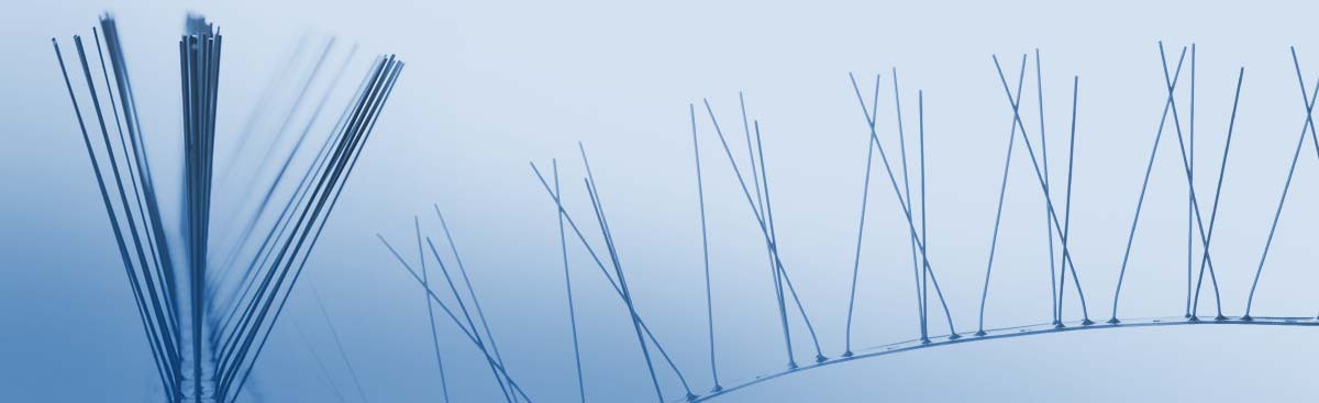 Obrázok hlavičky produktu - Bird barriers | Navidad