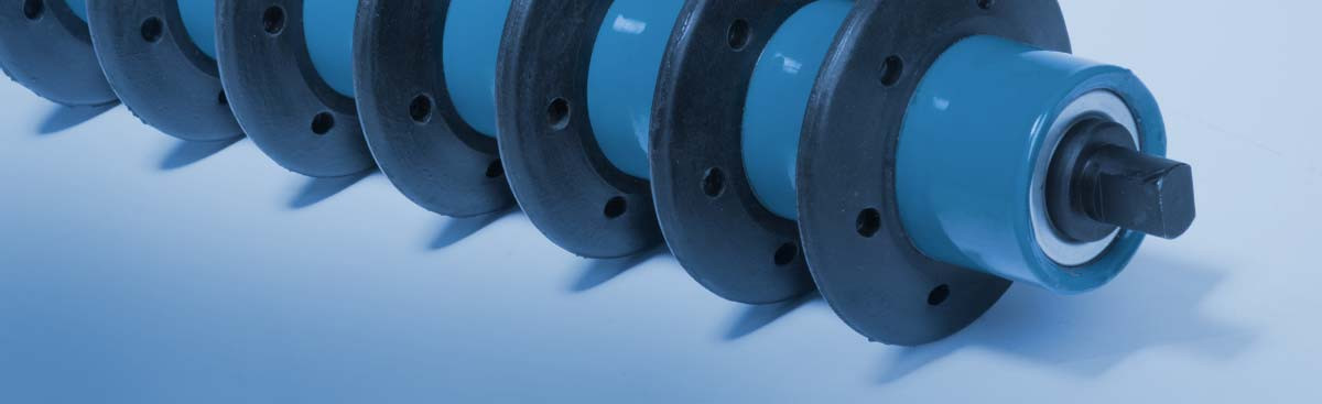 Obrázok hlavičky produktu - Disc rollers | Navidad