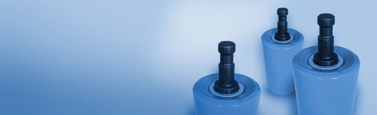 Obrázok hlavičky produktu - Guarding rollers | Navidad